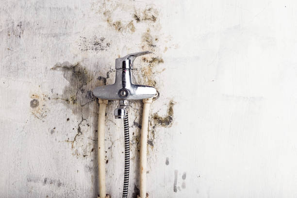 Best Post-Remediation Services in Taos Pueblo, NM